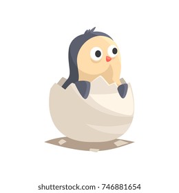 Adorable newborn penguin hatching from egg