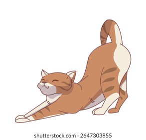 Adorável gato laranja esticando com um rosto feliz em estilo de desenho animado em fundo branco. Conceito de conforto para animais, rotina matinal e comportamento felino. Ilustração vetorial