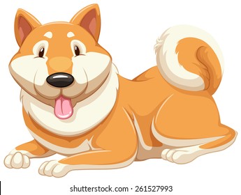 Perro naranja adorable con fondo blanco