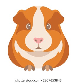 Adorable orange guinea pig face closeup cartoon illustration, cute animal expression
