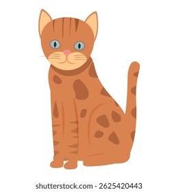 Adorable orange tabby cat with blue eyes sitting and looking forward