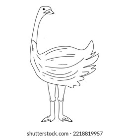 Adorable ostrich. Cute bird in hand drawn doodle style. Vector Illustration.