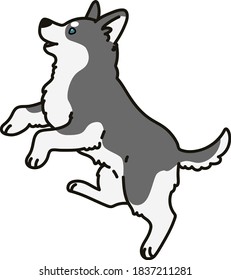 Adorable outlined grey Husky dog jumping illustration