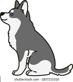 Adorable outlined grey Husky dog sitting in side view illustration