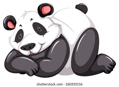 Adorable panda bear on a white background