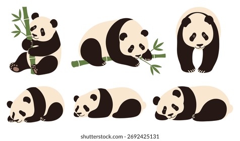 Pandas adoráveis em várias poses com bambu.