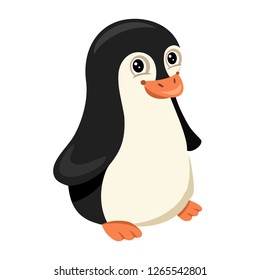 Adorable penguin character, vector illustration