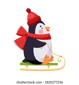 Adorable Penguin with Red Cheeks in Warm Hat Sledging Vector Illustration