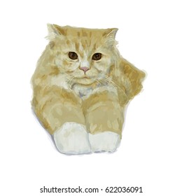 Adorable persian cat lying and stretching leg on white background,vector illustration