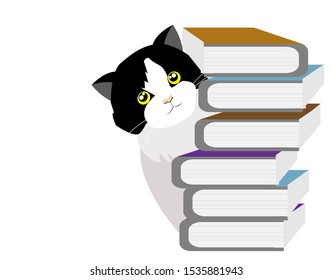 Adorable persian tuxedo cat playing hide and seek at stack of books. Isolated on white background. Vector Illustration. Idea for back to school and education concept.