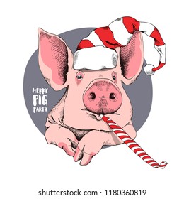 Adorable Pig in a Santa's red cap and with a funny whistle blowing. Merry pig party - lettering quote. Christmas and New Year card, t-shirt composition, handmade vector illustration.