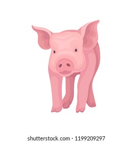 Adorable pink pig standing isolated on white background. Farm animal with flat snout, hooves and big ears. Vector design