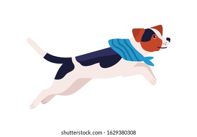 Adorable playful beagle dog breed in scarf isolated on white. Active jumping cartoon domestic animal vector flat illustration. Cute friendly running hound pet