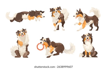 An adorable and playful Collie illustrated character set featuring joyful, expressive designs