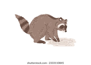 Adorable playful raccoon splashing in a puddle cartoon character, flat vector illustration isolated on white background. Cute cartoon raccoon for prints and cards.