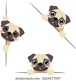 Adorable Pug Puppies Looking Over Borders