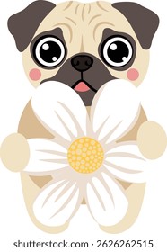 Adorable Pug Puppy with a Daisy Blossom
