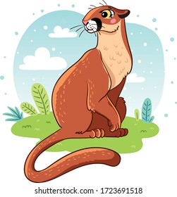 Adorable puma. Exotic animals in tropical forest or rainforest. Flora and fauna of tropics. Cute funny inhabitants of jungle. Cartoon colorful vector illustration.