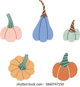 Adorable pumpkin of various shapes and colors.