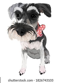 Adorable puppy cute dog vector art