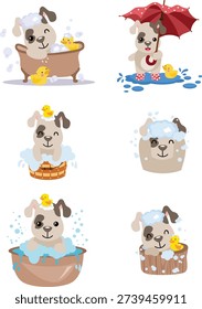 Adorable Puppy Having Fun With Bath Time And Rain