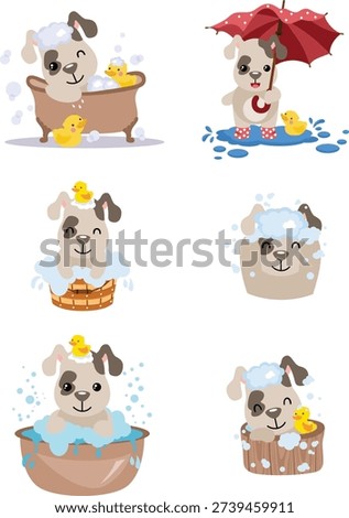 Adorable Puppy Having Fun With Bath Time And Rain