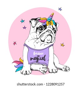 Adorable Puppy Pug in a bright colored costume of a unicorn: wig, horn and tail. Vector illustration. Because i'm magical - lettering quote. Humor poster, t-shirt composition, hand drawn style print.