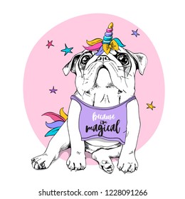 Adorable Puppy Pug in a bright colored costume of a unicorn: wig, horn and tail. Vector illustration. Because i'm magical - lettering quote. Humor poster, t-shirt composition, hand drawn style print.