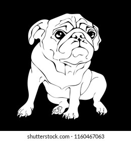 Adorable Puppy pug. Vector black and white illustration.