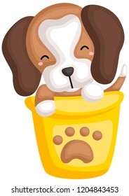 an adorable pure breed beagle