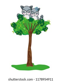 adorable raccoon couple animals in the tree