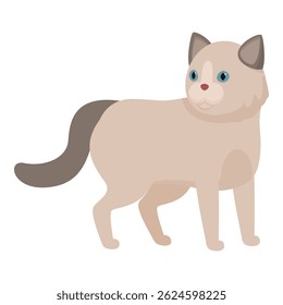 Adorable ragdoll cat with blue eyes and a fluffy tail standing in a confident pose