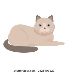 Adorable ragdoll cat with blue eyes is lying on the floor and resting