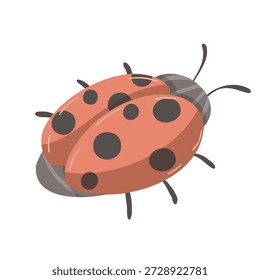 Mariquita roja adorable con manchas negras. Lindo Vector de escarabajo de jardín en estilo plano.