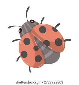 Mariquita roja adorable con manchas negras. Lindo Vector de escarabajo de jardín en estilo plano.