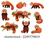 Adorable Red Panda as Small Fluffy Mammal with Dense Reddish-brown Fur and Ringed Tail in Different Pose Vector Set