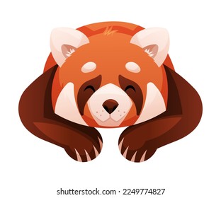 Panda roja adorable como pequeño mamífero esponjoso con vectores pesados de piel de color rojizo