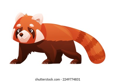 Panda rojo adorable como pequeño mamífero esponjoso con pieles rojizos densos y vectores de caminata de cola anilada Ilustración