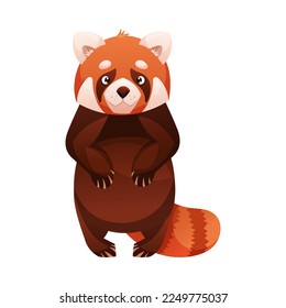 Adorable Red Panda as Small Fluffy Mammal with Dense Reddish-brown Fur and Ringed Tail Standing on Hind Legs Vector Illustration