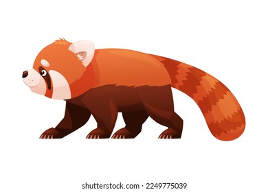 Adorable Red Panda as Small Fluffy Mammal with Dense Reddish-brown Fur and Ringed Tail Walking Vector Illustration