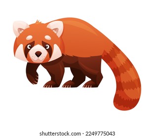 Adorable Red Panda as Small Fluffy Mammal with Dense Reddish-brown Fur and Ringed Tail Walking Vector Illustration