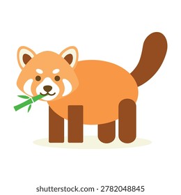 Adorable red panda standing and eating green bamboo shoots in forest habitat