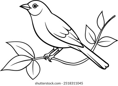  Adorable Round Robin Sitting: Perfect Vector Illustration for Coloring Books