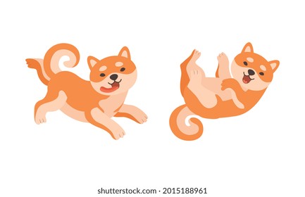 Adorable Shiba Inu Dog Activities Set, Akita Inu Puppy Playing and Resting Cartoon Vector Illustration