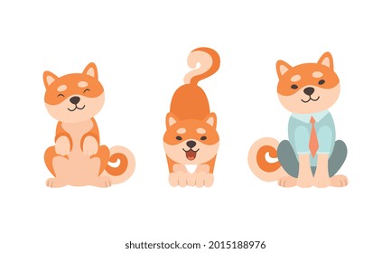 Organización de actividades de perros shiba inu, instalación de personajes de perros Akita Inu e ilustración de vectores de dibujos animados de ladrido