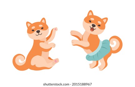 Adorable Shiba Inu Dog in Various Poses Set, Akita Inu Puppy Activities Cartoon Vector Illustration