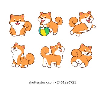 Adorable Shiba Inu is doing a fun activity