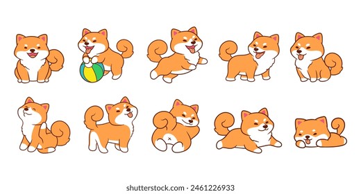 Adorable Shiba Inu is doing a fun activity