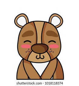 adorable and shy bear wild animal