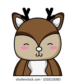 adorable and shy deer wild animal